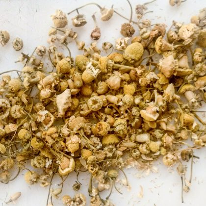 Egyptian Chamomile